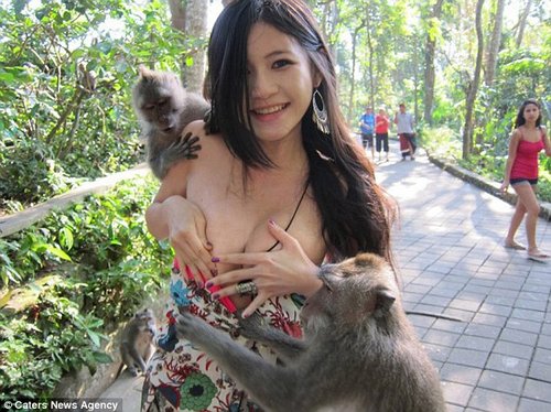 Charmian Chen – monkeys cheekily stripped her dress off