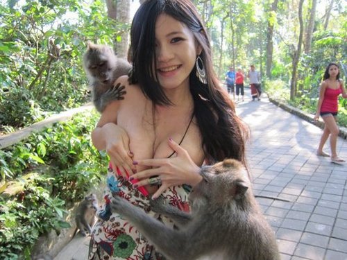 Charmian Chen – monkeys cheekily stripped her dress off