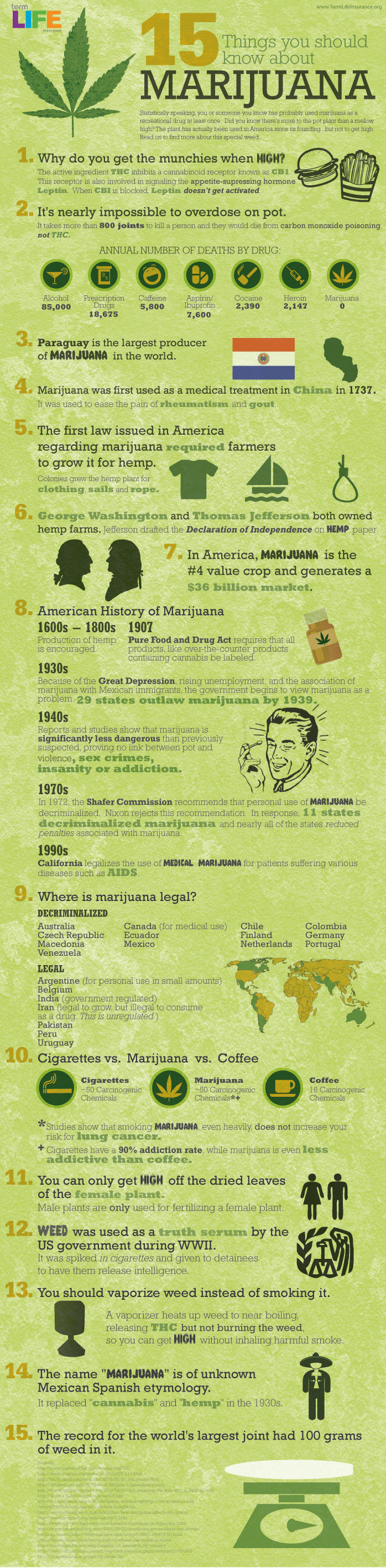 15_herb_facts.jpg