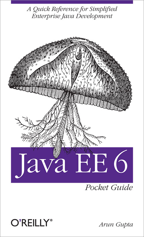 Java_EE_6_Pocket_Guide.jpg